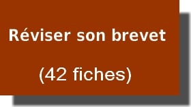 Reviser et preparer son brevet de maths des colleges en troisieme (3eme)