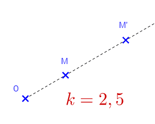 Homthétie de rapport 2,5